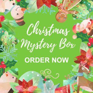 NEW Holiday Gift Mystery Box